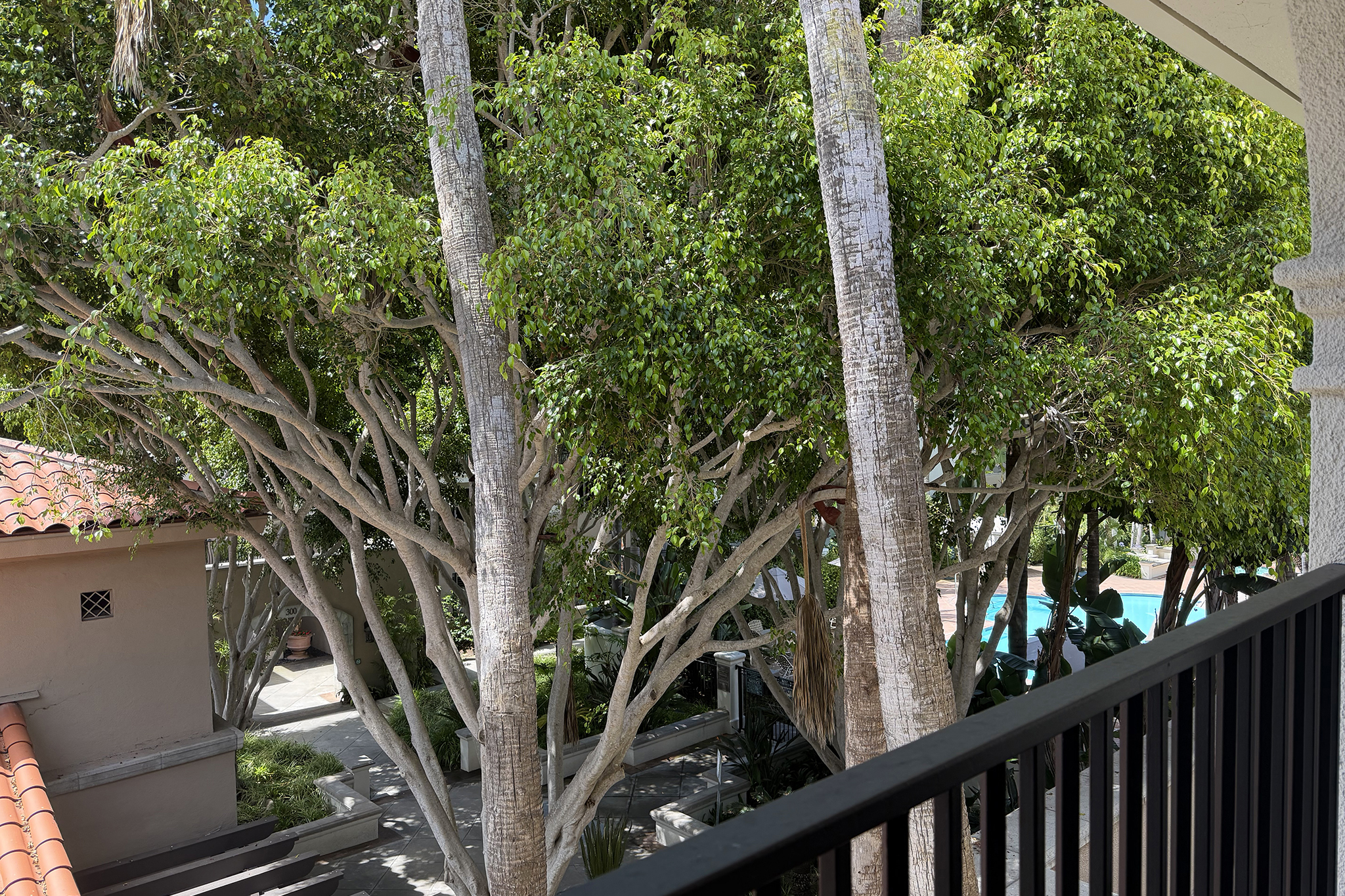 Balcony view 2