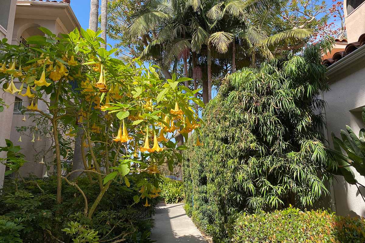 Beautifully landscaped El Escorial Villas grounds