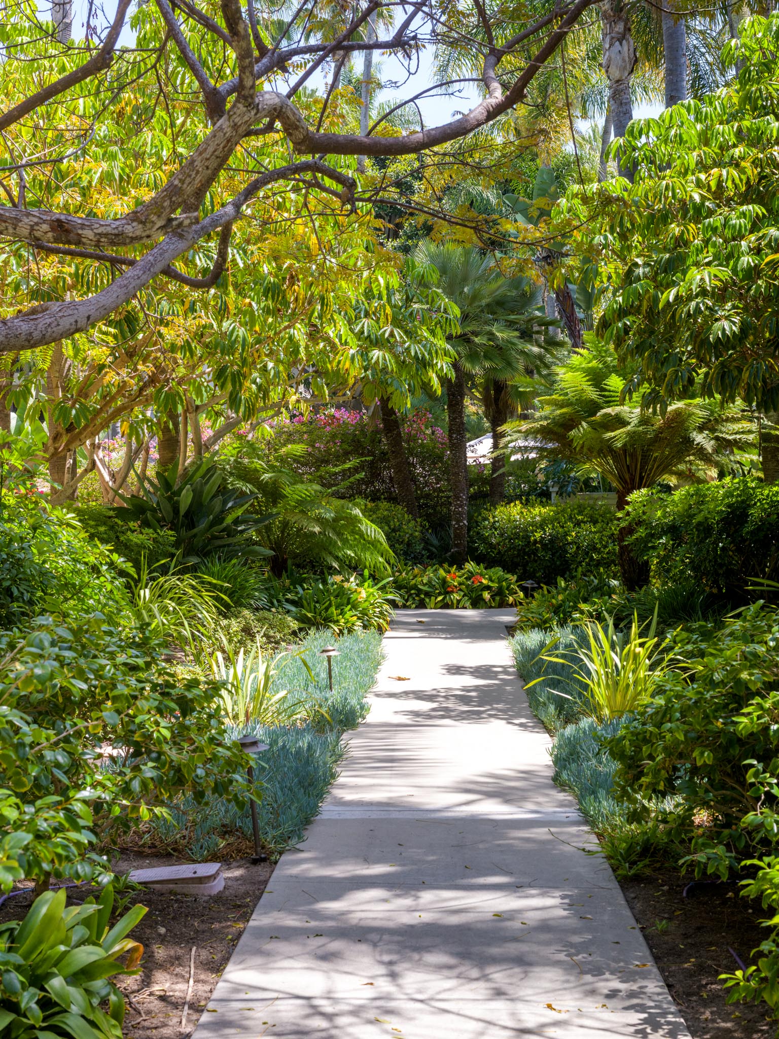 Lush landscaping 1