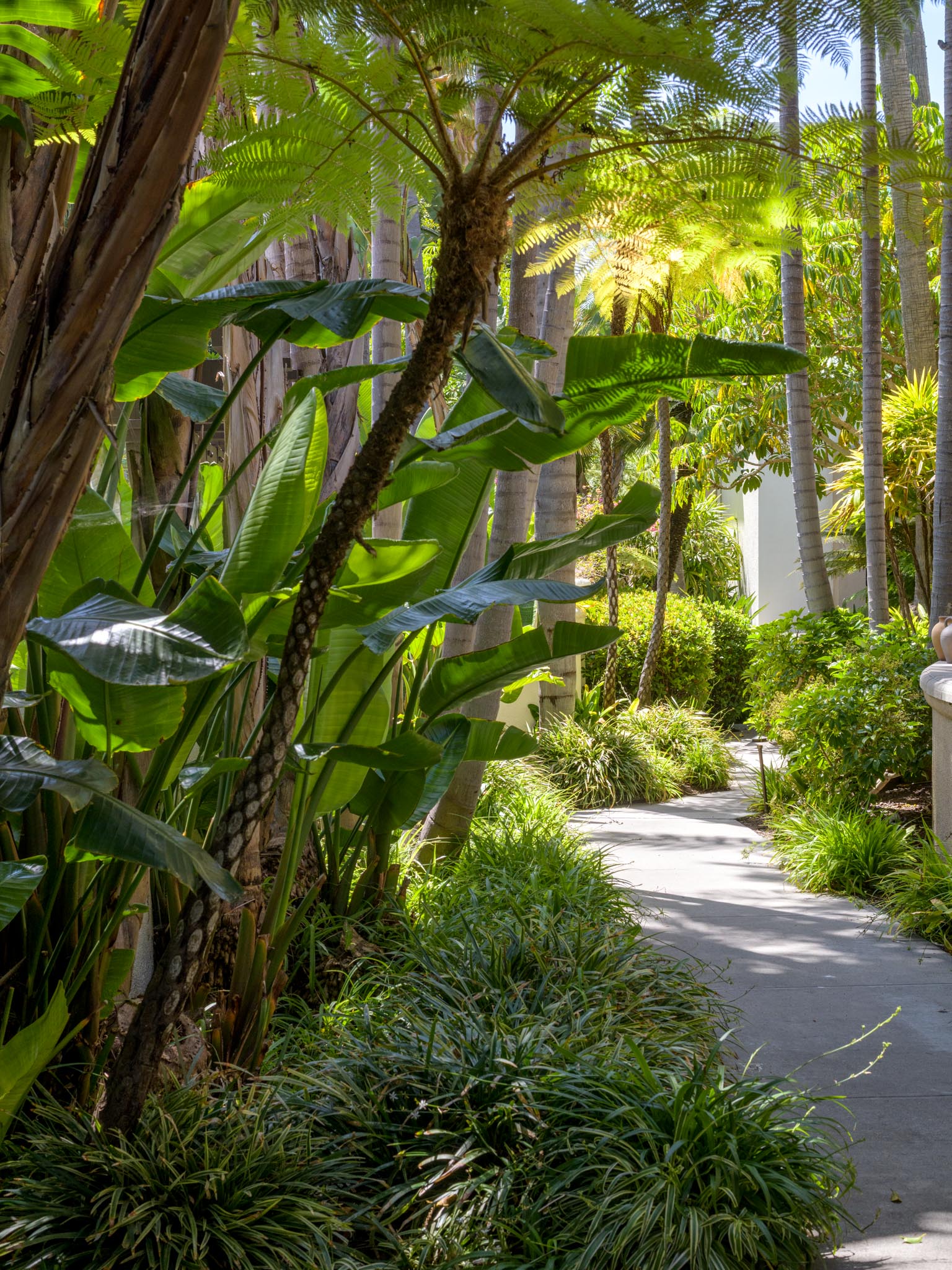 Lush landscaping 2
